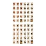 Rivers Edge Themed Playing Cards - Unique Deck