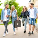 Gomyrod 3200+ MTG Deck Storage Box with Dividers