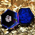 Wild Unknown Alchemy Deck with Guidebook Set