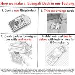 Ted's Blue Rider Back Svengali Deck for Tricks