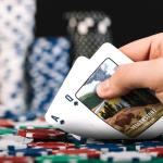 99FOX Nature Reserve Playing Cards - Scenic Wildlife Art