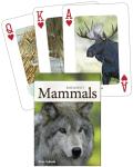 Midwest Mammals Illustrated Playing Cards