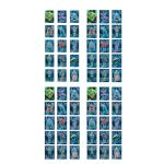 Rivers Edge Themed Playing Cards for Game Night