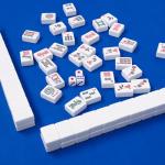 GUSTARIA Large Anti-Slip Mahjong Mat with Bag