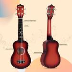 Ukulele Starter Kit with Lessons and Accessories