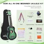 Ukulele Starter Kit with Accessories and Lessons