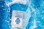 Hoyle Waterproof Clear Plastic Playing Cards, 1 Deck