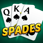 Classic Spades Playing Card Game Set