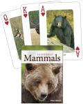 Northwest Mammals Illustrated Playing Cards