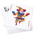Timenued 2 Pack Standard Playing Cards Set