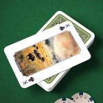 National Parks Themed Playing Cards with Custom Art