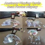 Body Deck Playing Cards - 3D Anatomy Fun