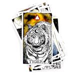 Wild Unknown Animal Spirit Card Deck & Guidebook