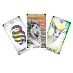 Wild Unknown Animal Spirit Card Deck & Guidebook