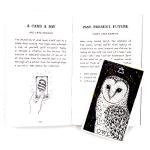 Wild Unknown Animal Spirit Card Deck & Guidebook
