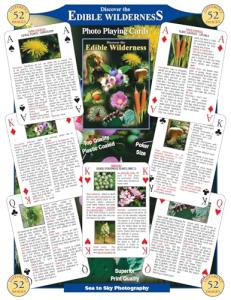 Sea and Sky Edible Wilderness Playing Cards