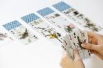Kikkerland 3D Bird Lenticular Waterproof Playing Cards