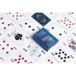 Bicycle Back To The Future Premium Playing Cards