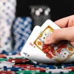 99FOX Noblific Cats Playing Cards for Animal Lovers