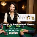 Waterproof PVC Poker Playing Cards - Jumbo Index