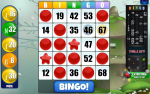 Bingo Absolute - Fun Bingo Game Experience!