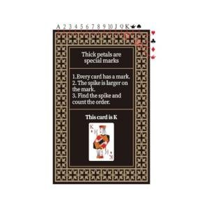 AxiomI Marked Playing Cards for Magic Tricks