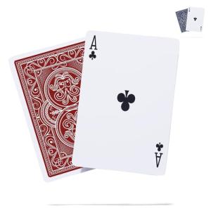 Heavy Waterproof Playing Cards for Outdoor Fun