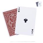 Heavy Waterproof Playing Cards for Outdoor Fun