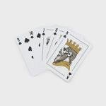 Big Deal Deluxe Playing Cards Set with Box