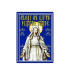 Catholic Playing Cards Titles of Mary Edition, Religious Poker Cards
