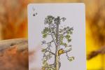 Luxury Hundred Acre Wood Themed Deck of Playing Cards – Premium, Collectible Card Set Gift for Adults and Card Game Enthusiasts. Gold Edging, Custom Design Cards With Magnetic Flip Box Deck of Cards.