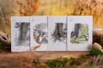 Luxury Hundred Acre Wood Themed Deck of Playing Cards – Premium, Collectible Card Set Gift for Adults and Card Game Enthusiasts. Gold Edging, Custom Design Cards With Magnetic Flip Box Deck of Cards.