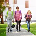 Card Holder Case for TCG & Card Games - Black