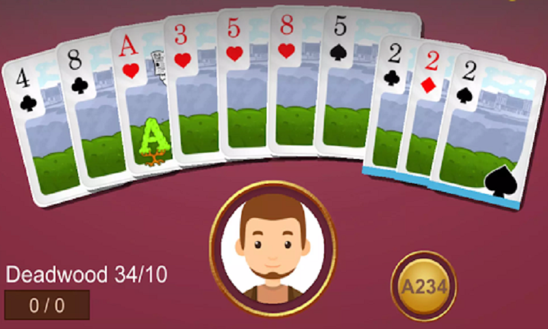 Free Offline Gin Rummy Card Game
