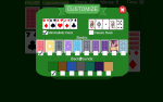 Classic Klondike Solitaire Card Game Set