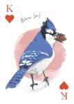 Chronicle Books The Field Guide to Dumb Birds Playing Cards - 2-Deck Set