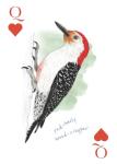 Chronicle Books The Field Guide to Dumb Birds Playing Cards - 2-Deck Set