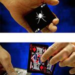 Magic Makers Black Spider Bicycle Playing Cards