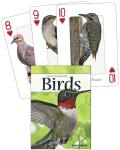 Southeast Birds Themed Playing Cards