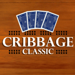 Classic Cribbage Playing Cards Game Set