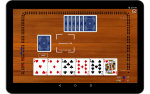Classic Cribbage Playing Cards Game Set