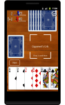 Classic Cribbage Playing Cards Game Set