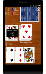 Classic Cribbage Playing Cards Game Set