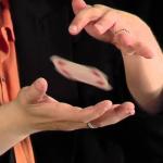 MilesMagic Hummingbird Card Trick Gimmick