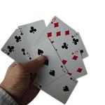 Magician's Magnetic Cards for Amazing Coin Tricks