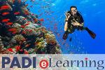 Padi Open Water Scuba Certification Course