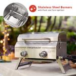 Portable Stainless Steel 2-Burner Gas Grill