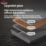 Portable Folding Charcoal BBQ Grill for Picnics