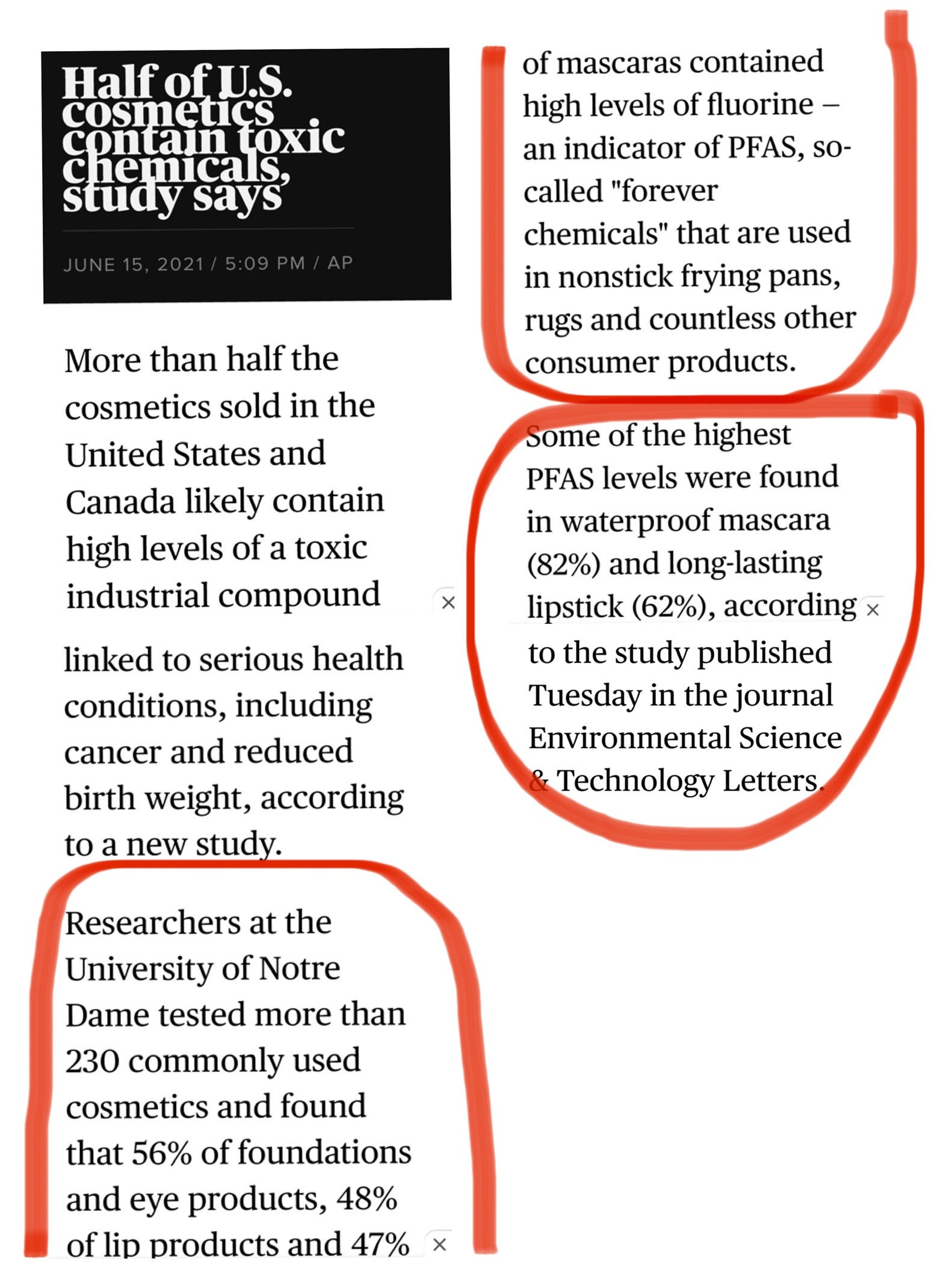 Organic Herb Mascara - Vegan, Cruelty-Free, Nourishing