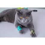 Self-Adhesive Pet Bandage Rolls - Set of 6